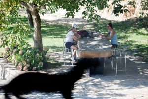 Vinarija Kozlović - Proljetno radno vrijeme 2021