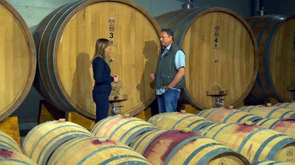 Vinarija-Kozlović - Vijesti - Istra na njemačkoj televiziji