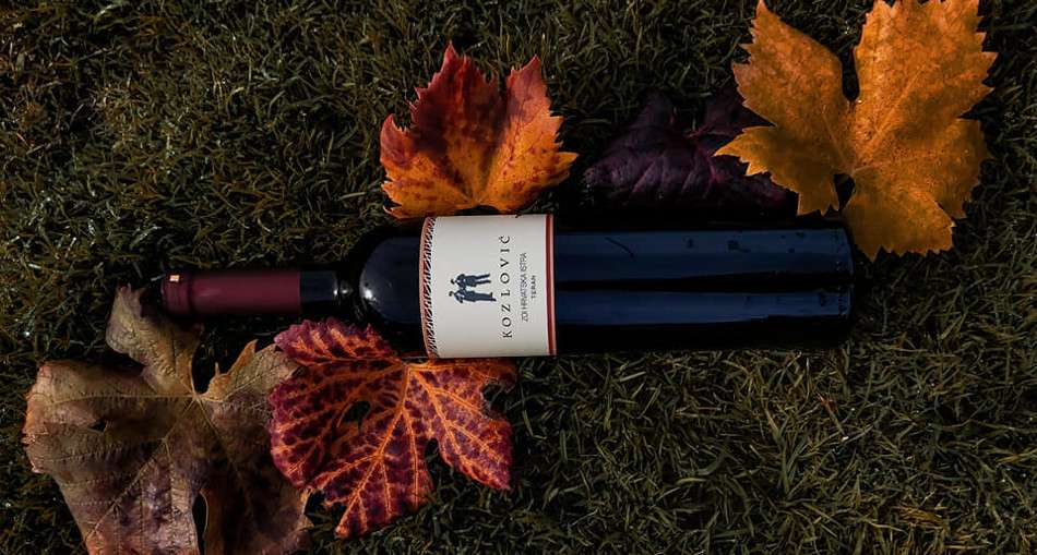 Vinarija Kozlović - Vijesti - Teran 2020