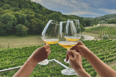 Kozlović tour & terrace tasting 2026