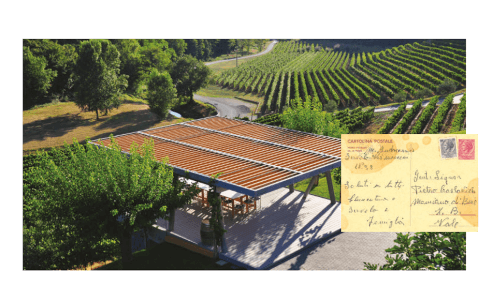 Vogue Adria Kozlovic celebration