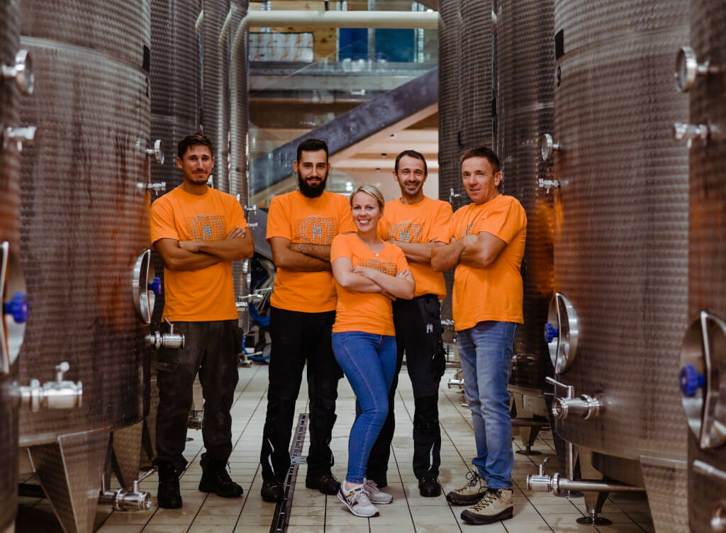 Wine experience - Kozlović in harvest time