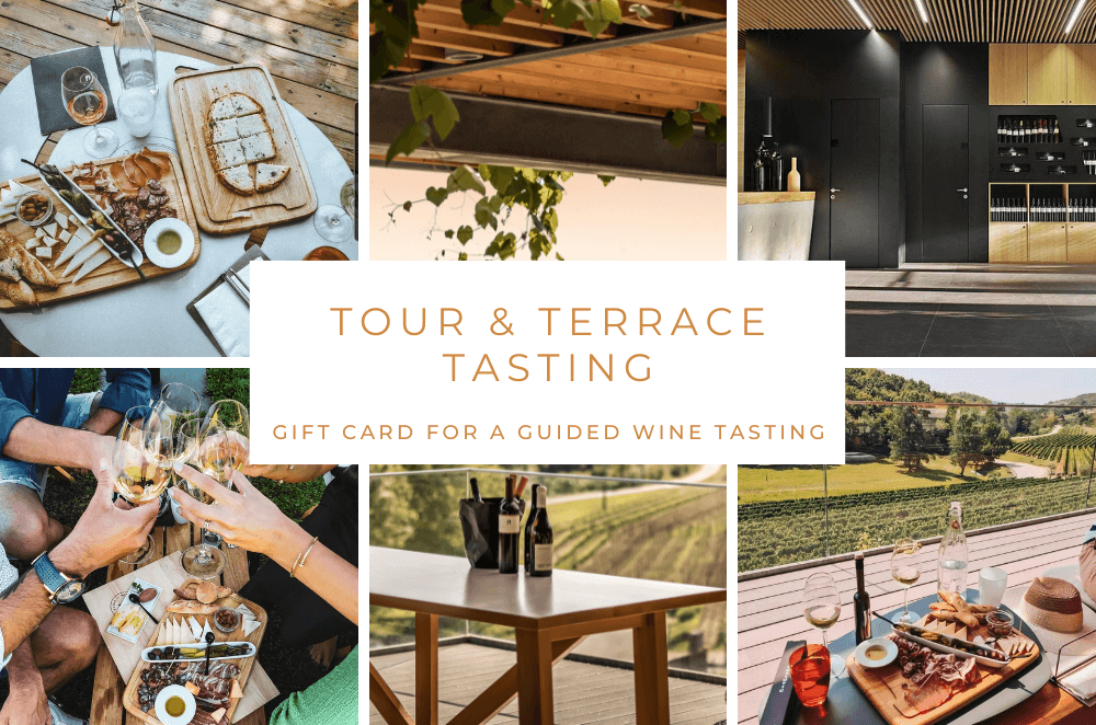 Kozlović tour & terrace tasting - gift card for guided wine tasting