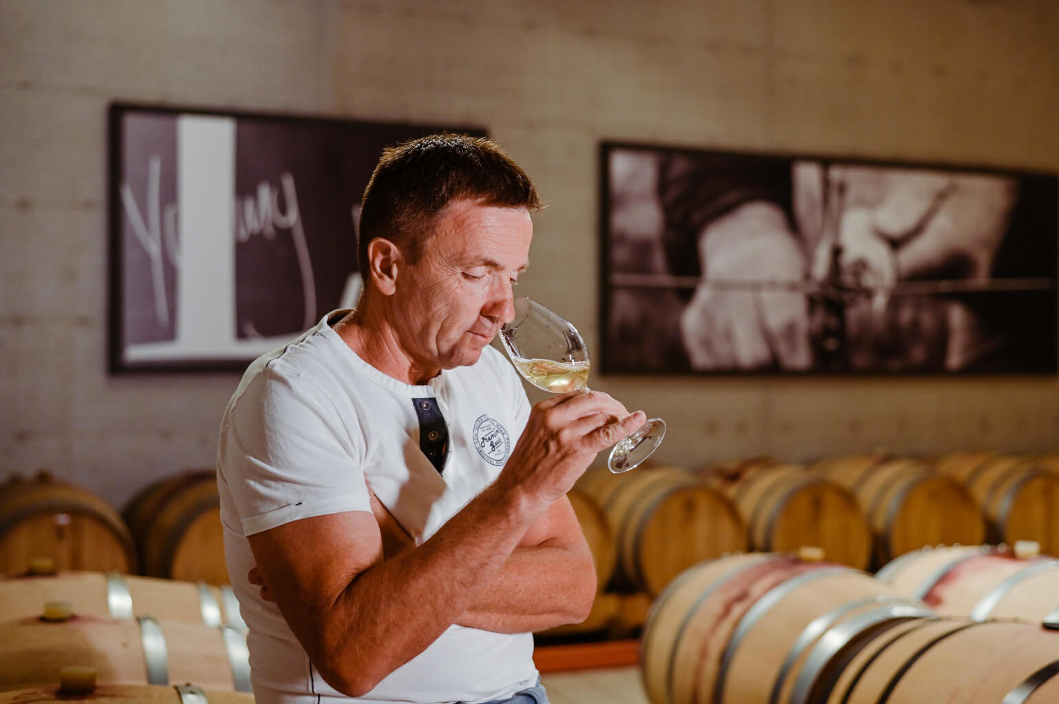 Vinarija Kozlović - Posjetite nas - Young, ready, archive Malvazija Istriana