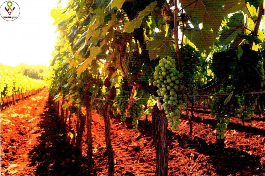 Zeit fuer Genuss Magazin 0825-ist-koz